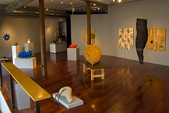 Material Nature Gallery